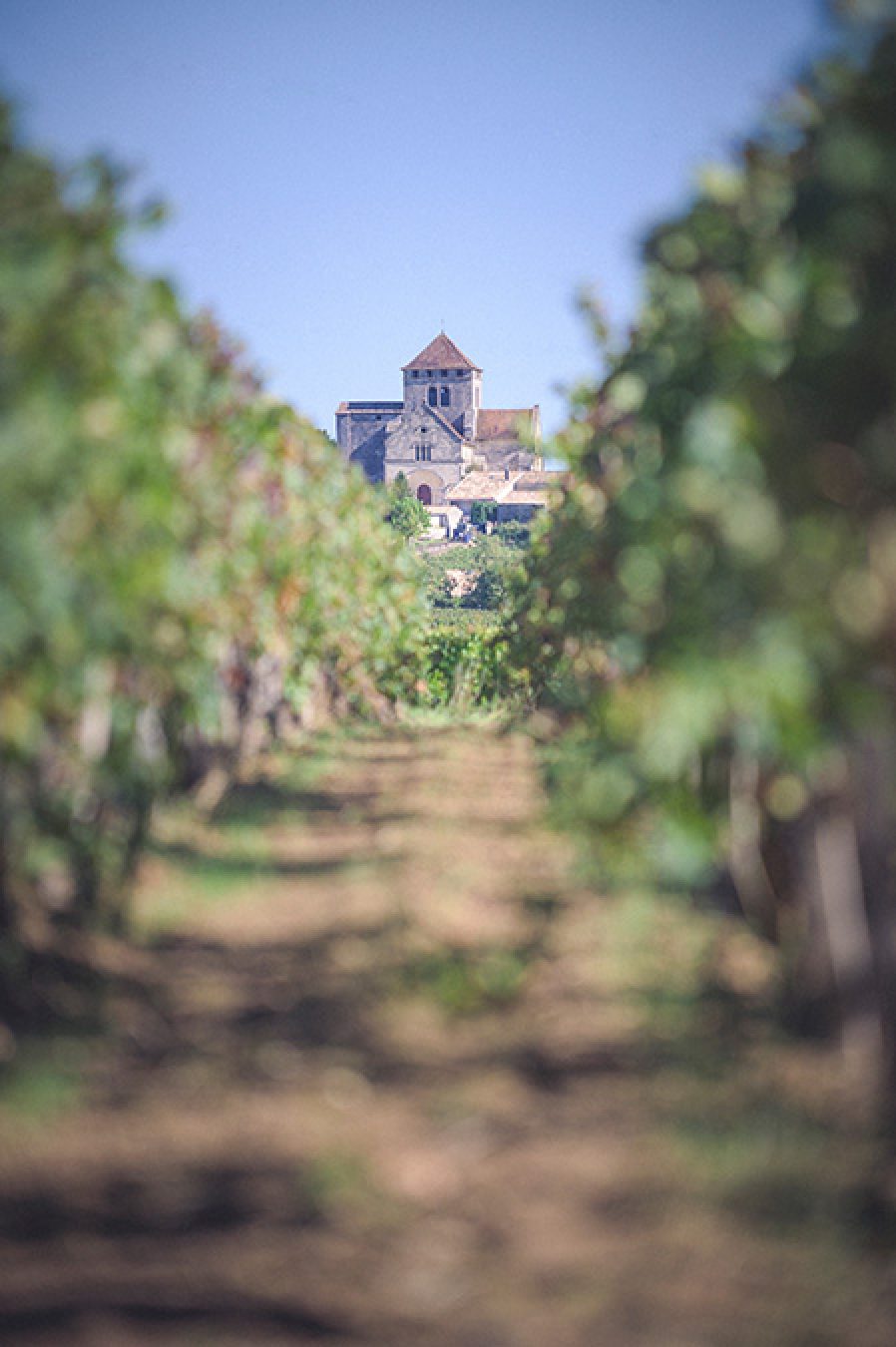 Château Vieux Bertin MontagneSaintÉmilion